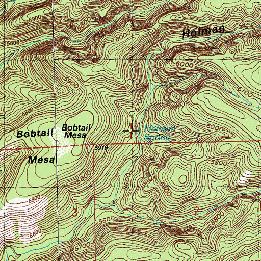 Topographic Map of Holman Spring, NM