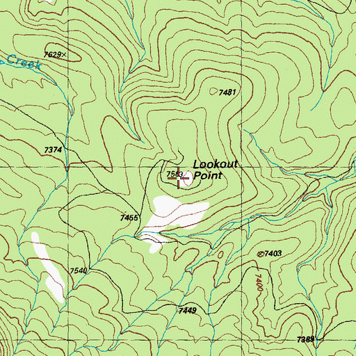 Topographic Map of Lookout Point, NM