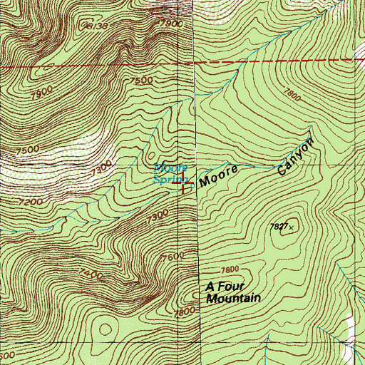 Topographic Map of Moore Spring, NM