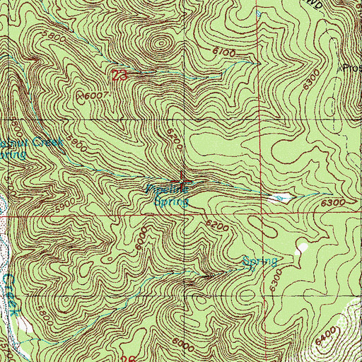 Topographic Map of Pipeline Spring, NM