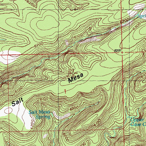 Topographic Map of Salt Mesa, NM