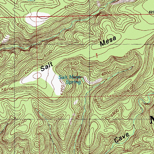 Topographic Map of Salt Mesa Spring, NM