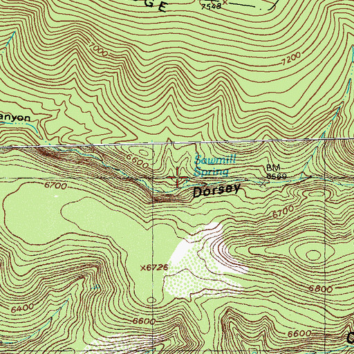 Topographic Map of Sawmill Spring, NM
