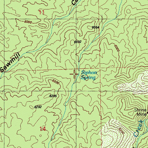 Topographic Map of Siphon Spring, NM