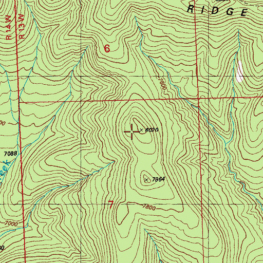 Topographic Map of T X Mountain, NM