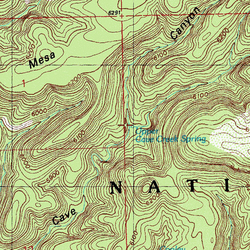 Topographic Map of Upper Cave Creek Spring, NM