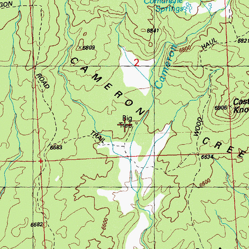 Topographic Map of Big Tree, NM