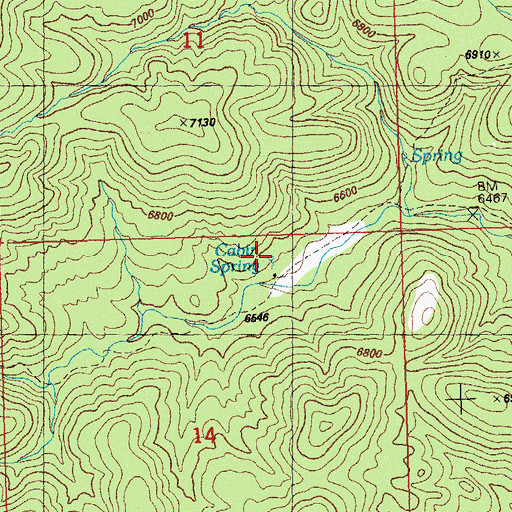 Topographic Map of Cabin Spring, NM