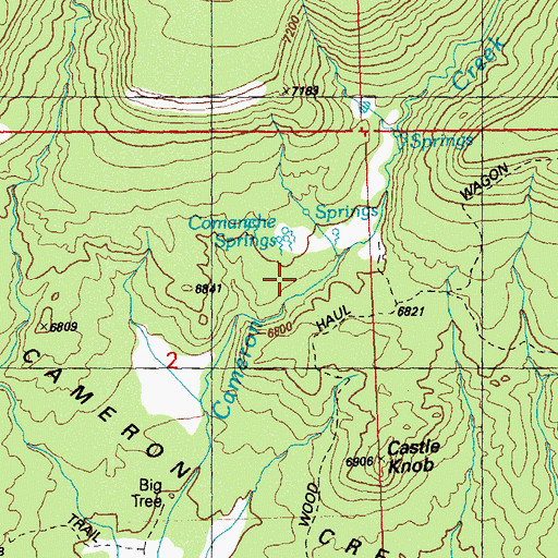 Topographic Map of Comanche Springs, NM