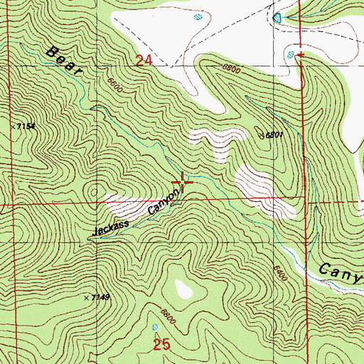 Topographic Map of Jackass Canyon, NM