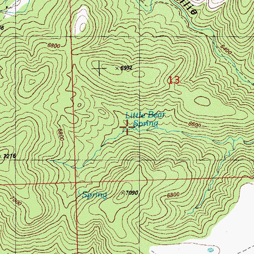 Topographic Map of Little Bear Spring, NM