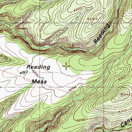 Topographic Map of Reading Mesa, NM