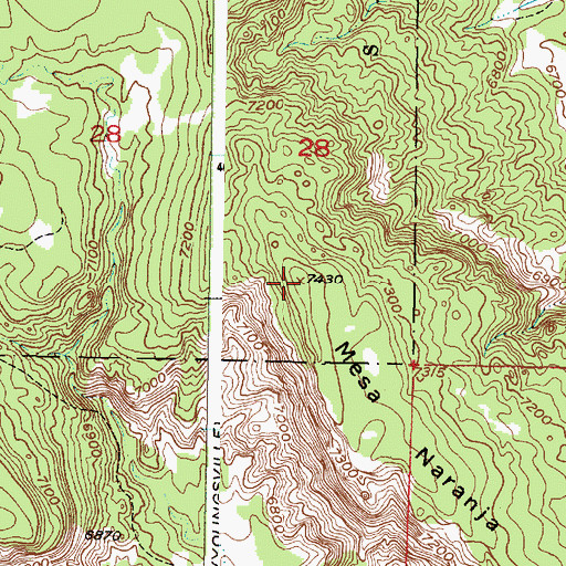 Topographic Map of Mesa Naranja, NM