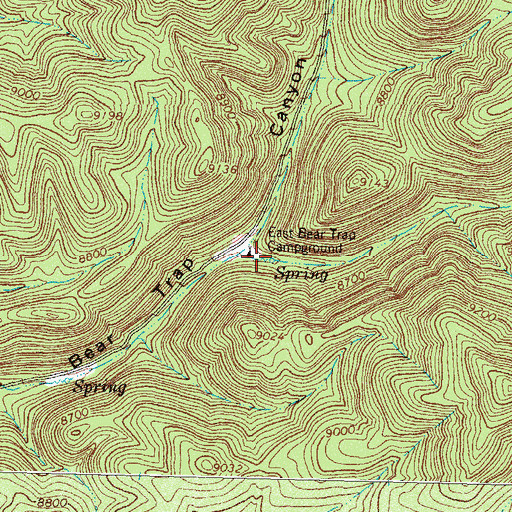 Topographic Map of Beartrap Spring, NM