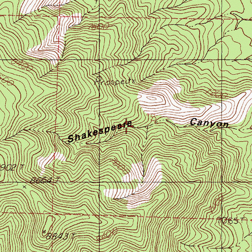 Topographic Map of Shakespeare Spring, NM