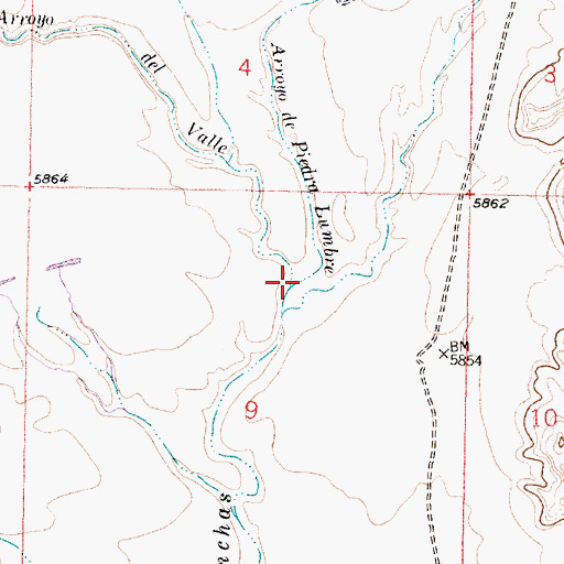 Topographic Map of Arroyo del Valle, NM