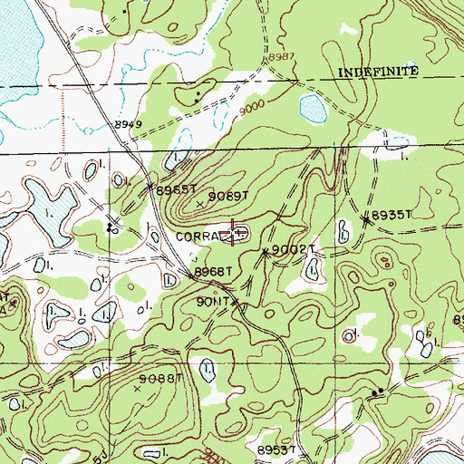 Topographic Map of Corral, NM