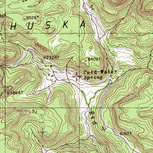 Topographic Map of Cold Water Spring, NM