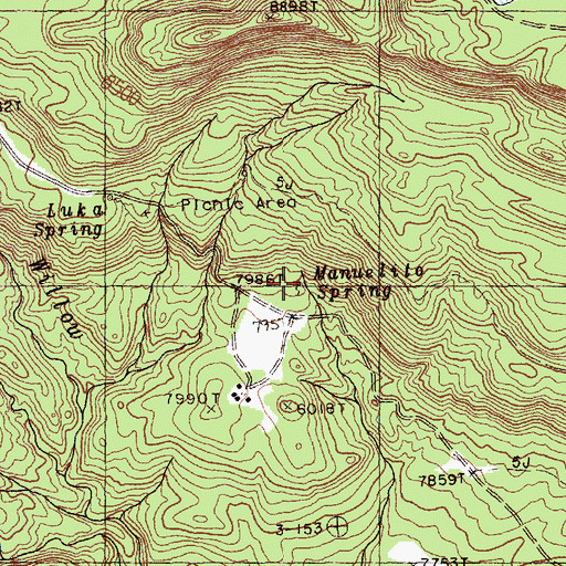 Topographic Map of Manuelito Spring, NM