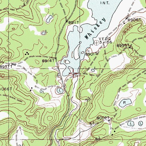 Topographic Map of Sage Well, NM