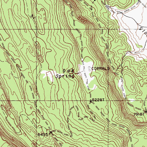 Topographic Map of Oak Spring, NM