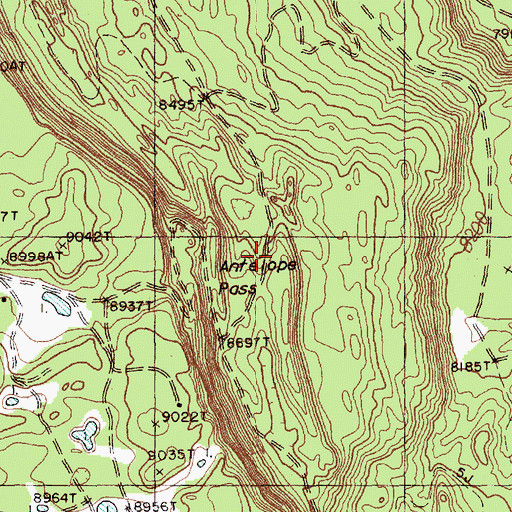 Topographic Map of Antelope Pass, NM