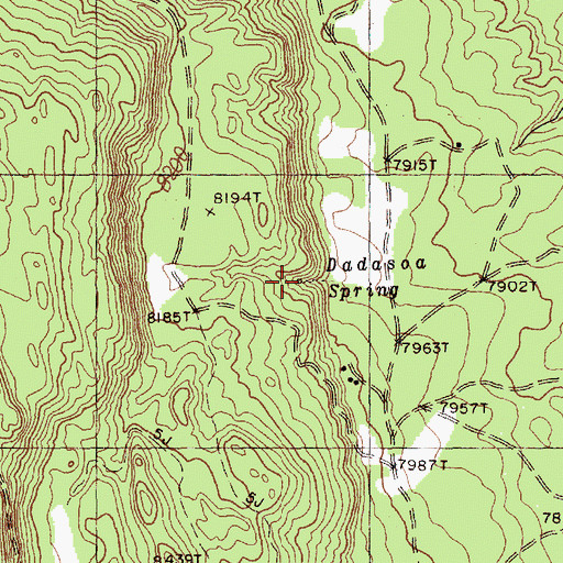 Topographic Map of Dadasoa Spring, NM