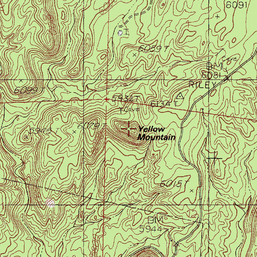 Topographic Map of Yellow Mountain, NM