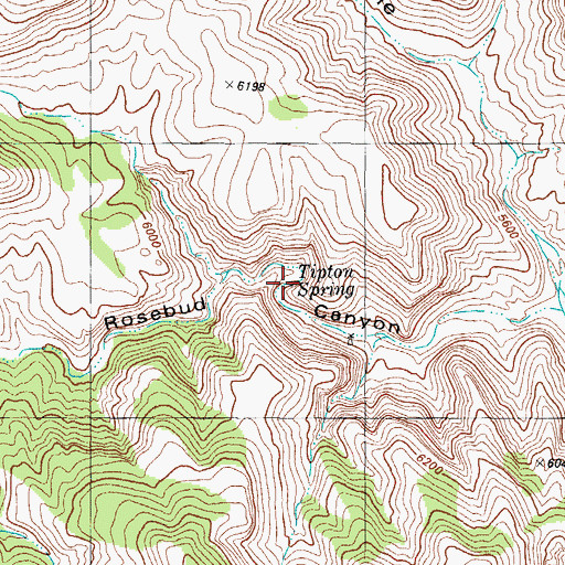 Topographic Map of Tipton Spring, NM