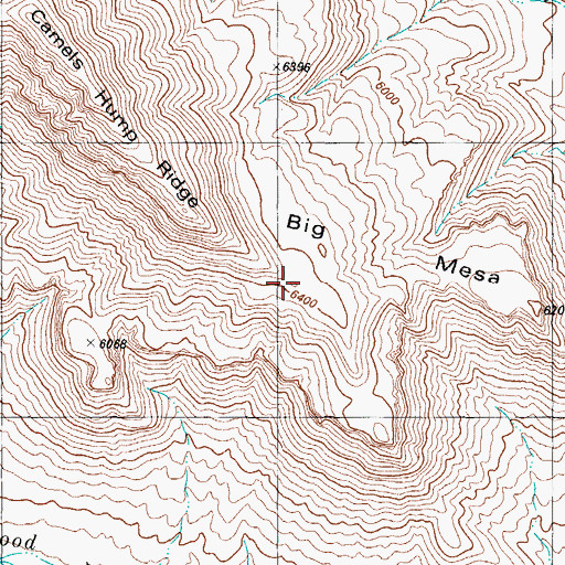 Topographic Map of Big Mesa, NM