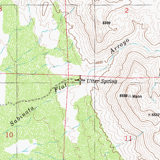 Topographic Map of Utter Spring, NM
