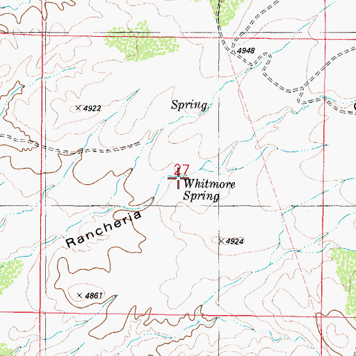 Topographic Map of Whitmore Spring, NM