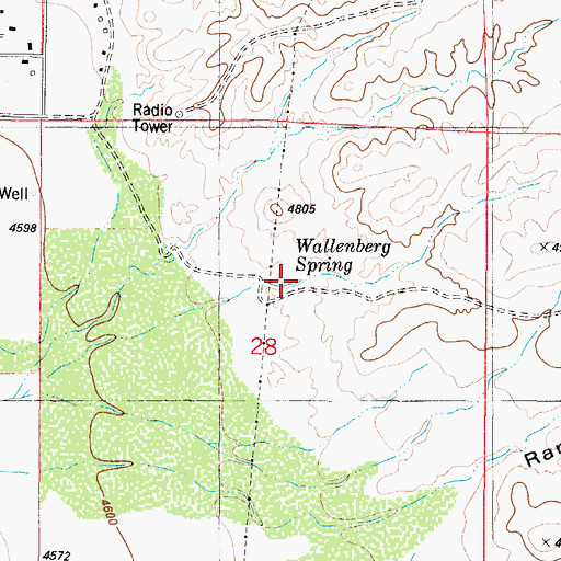 Topographic Map of Wallenberg Spring, NM