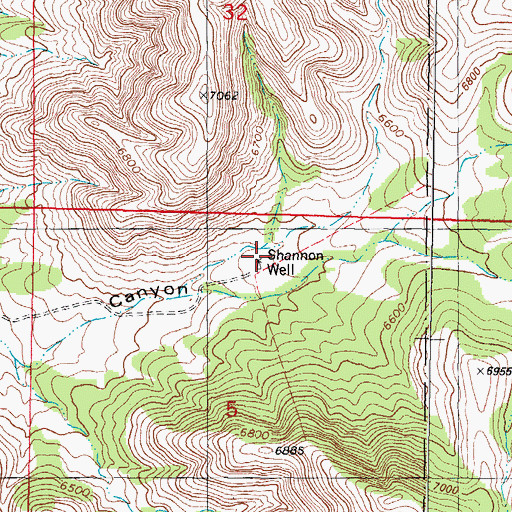 Topographic Map of Shannon Well, NM