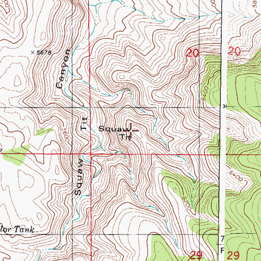 Topographic Map of Squaw Tit, NM