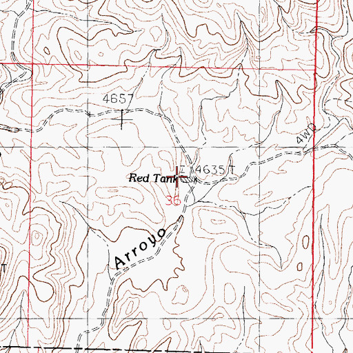 Topographic Map of Red Tank, NM