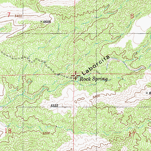 Topographic Map of Rock Spring, NM