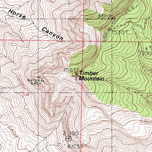 Topographic Map of Timber Mountain, NM