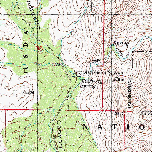 Topographic Map of Mayberry Spring, NM