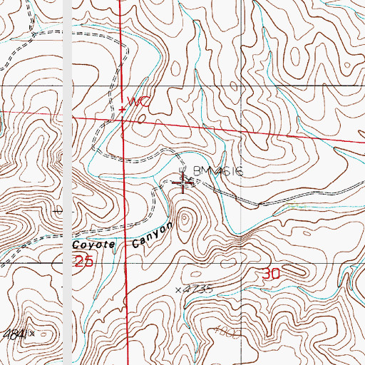 Topographic Map of Riley Ranch, NM