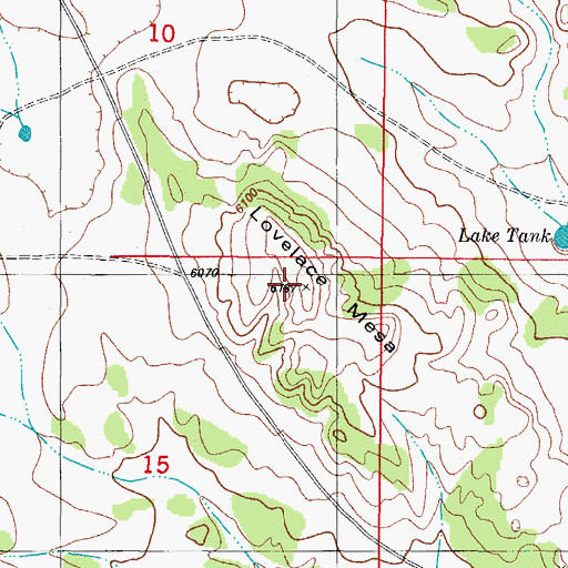 Topographic Map of Lovelace Mesa, NM