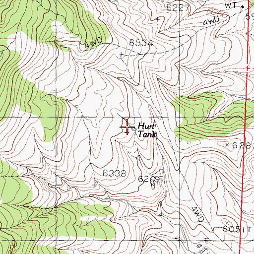 Topographic Map of Hurt Tank, NM