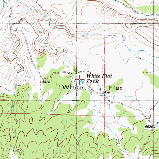 Topographic Map of White Flat Tank, NM