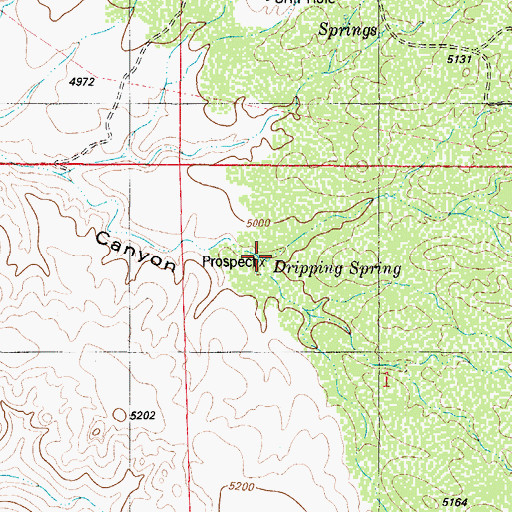 Topographic Map of Dripping Spring, NM