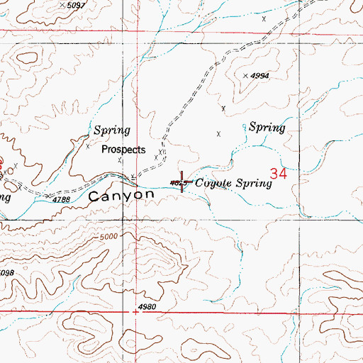 Topographic Map of Coyote Spring, NM