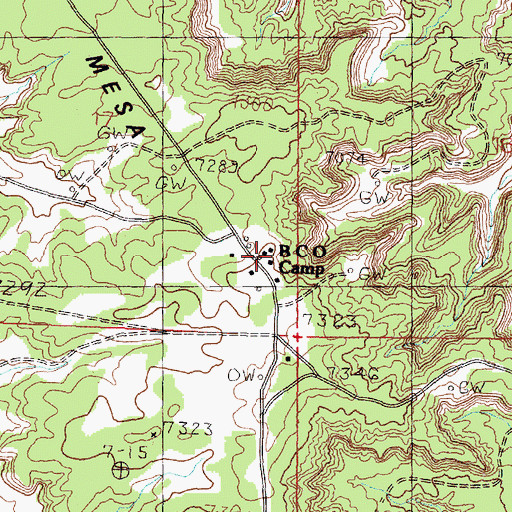 Topographic Map of B C O Camp, NM