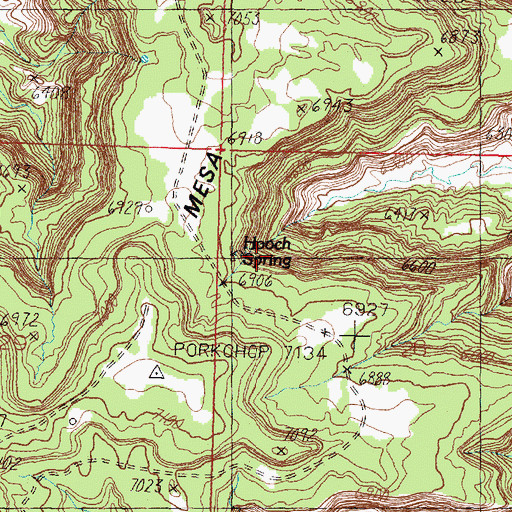 Topographic Map of Hooch Spring, NM