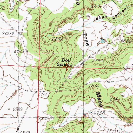 Topographic Map of Doe Spring, NM