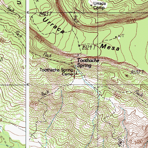Topographic Map of Toothache Spring Camp, NM