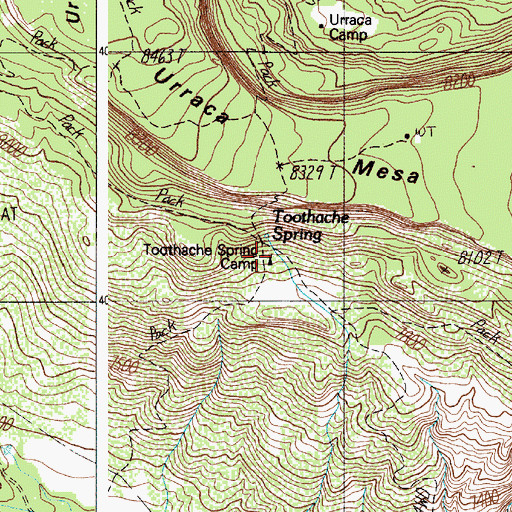 Topographic Map of Toothache Spring, NM